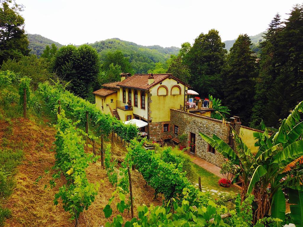 Villa A Casa Del Tosi Lucca Exterior foto