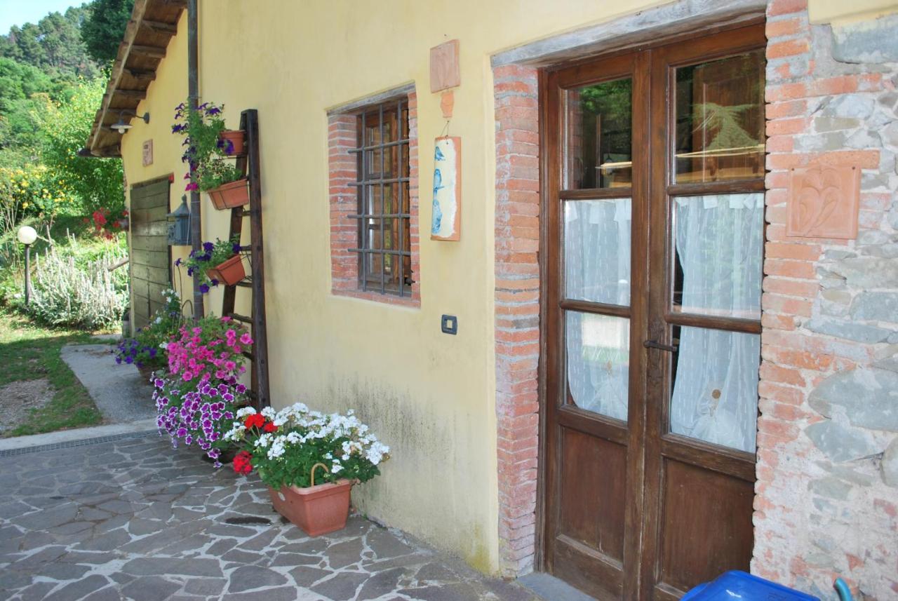 Villa A Casa Del Tosi Lucca Exterior foto