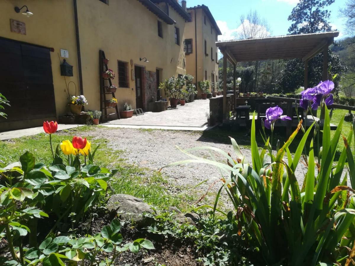 Villa A Casa Del Tosi Lucca Exterior foto